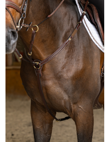Collier de chasse Arezzo - HFI
