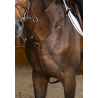 Collier de chasse Arezzo - HFI
