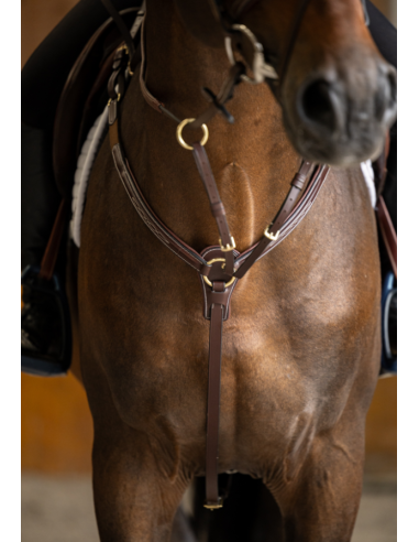 Collier de chasse Arezzo - HFI