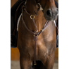 Collier de chasse Arezzo - HFI