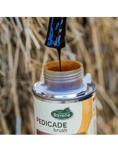 Pedicade Brush - Ravene