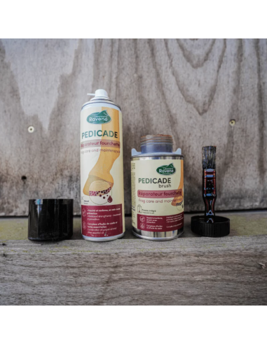 Pedicade Brush - Ravene