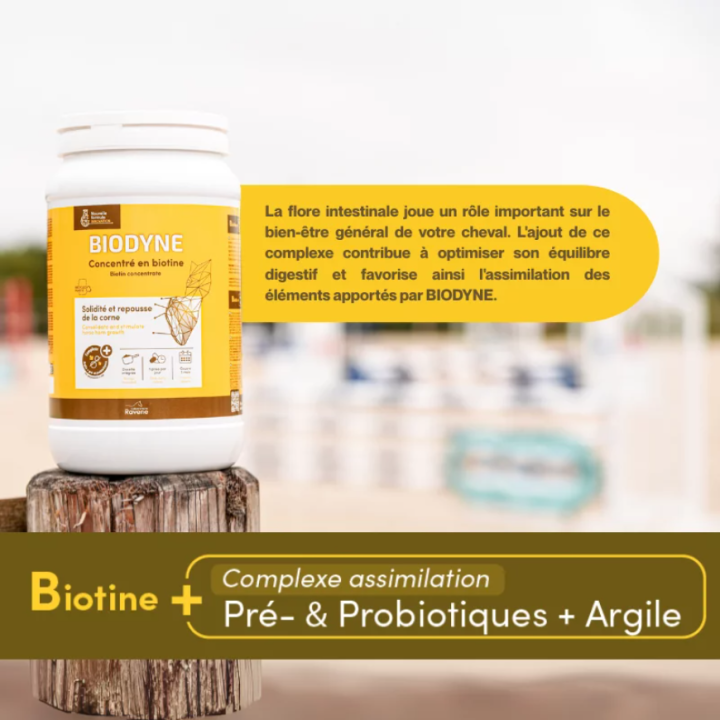 Biodyne - Ravene