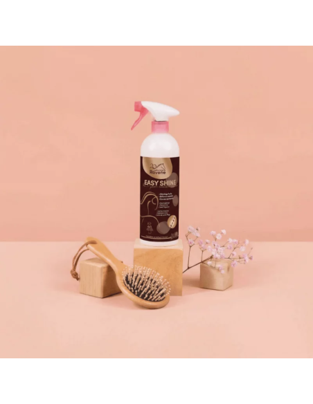 Easy Shine Edition Limitée 20 ans - Ravene