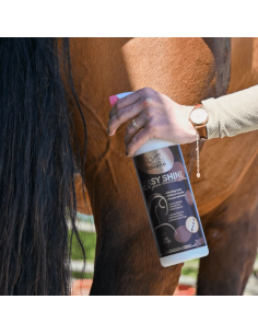 Easy Shine Edition Limitée 20 ans - Ravene 2