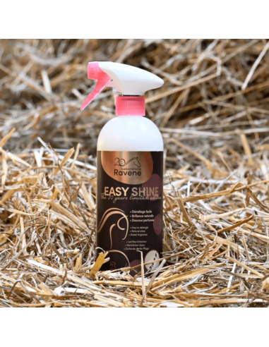 Easy Shine Edition Limitée 20 ans - Ravene