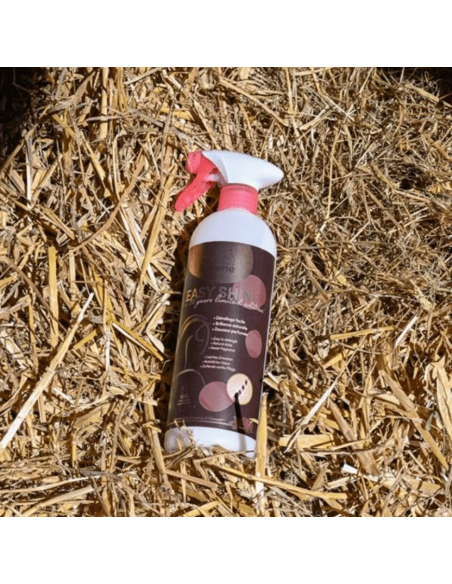 Easy Shine Edition Limitée 20 ans - Ravene