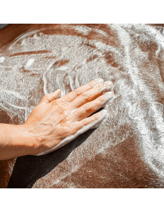 Emouchine Protec Shampoo - Ravene 2