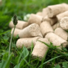 Friandises Happy sweet Ravene