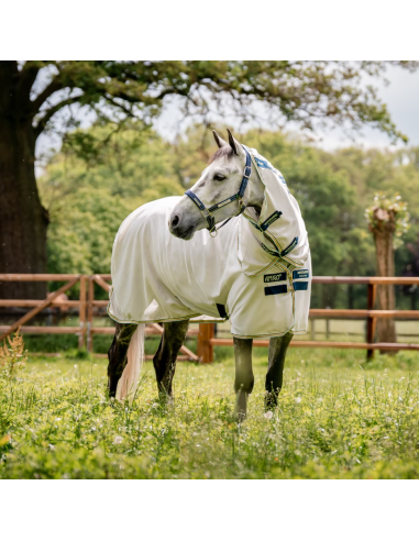 Chemise Amigo Bug Rug - Horseware