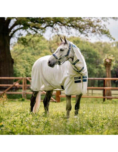 Chemise Amigo Bug Rug - Horseware