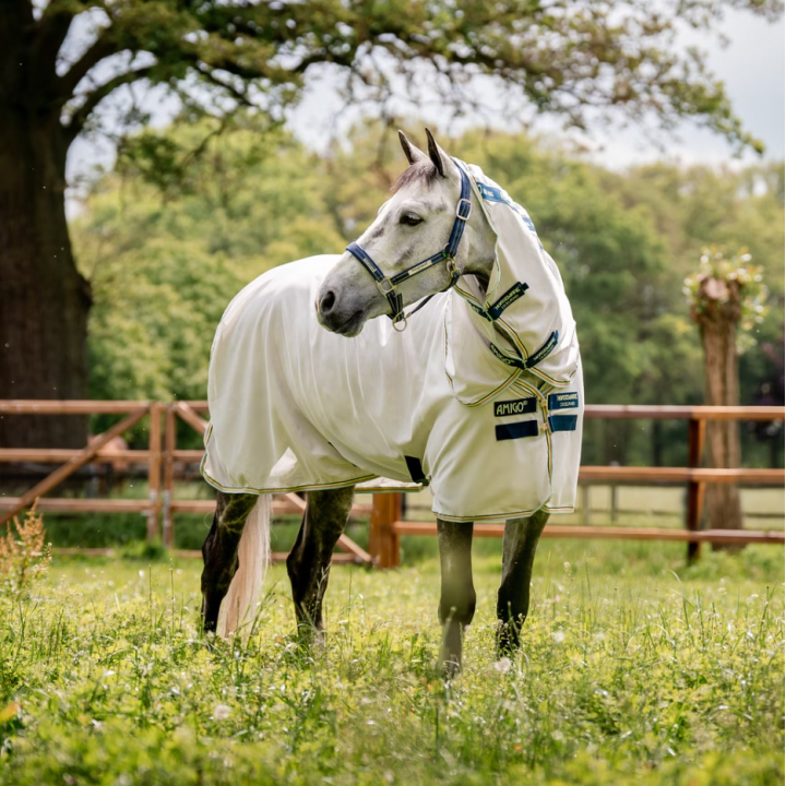 Chemise Amigo Bug Rug - Horseware