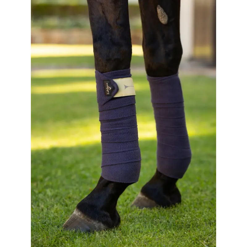 Bandes de Polo AW24 - LeMieux