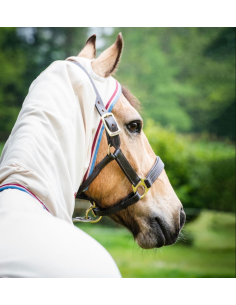 Chemise Rambo® Pony Hoody - Horseware 2