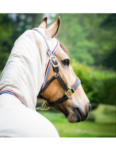 Chemise Rambo® Pony Hoody - Horseware
