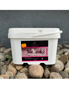 Maxi Vita Equi-Soins