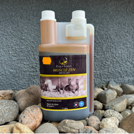 Muscle Zen Equi-Soins