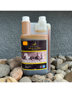 Muscle Zen Equi-Soins