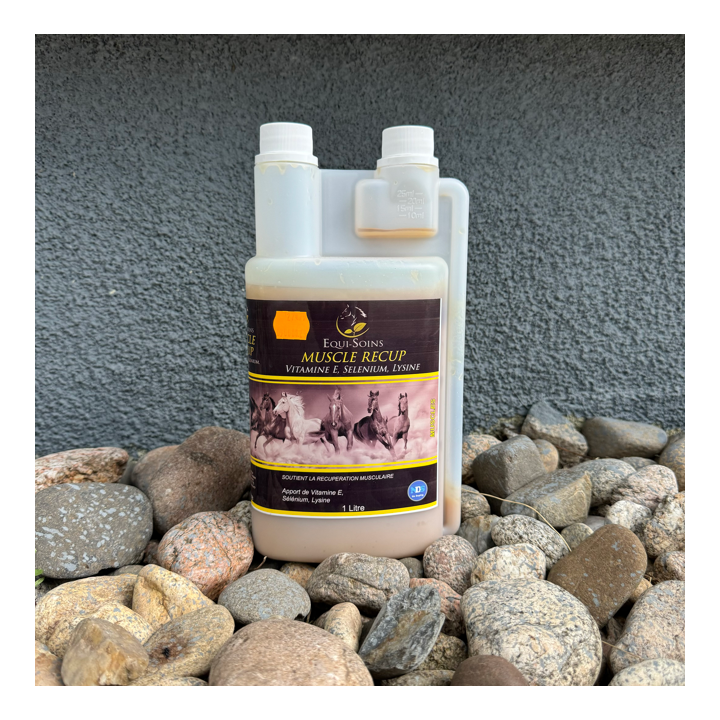 Muscle Recup Equi-Soins