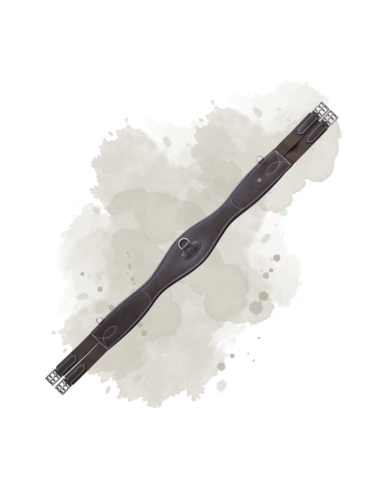 Sangle Anatomique Canter