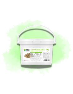 Gastro Protect - Estomac sensible cheval