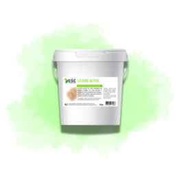 Levure Active + - Flore intestinale et digestion