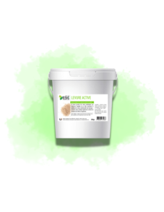 Levure Active + - Flore intestinale et digestion