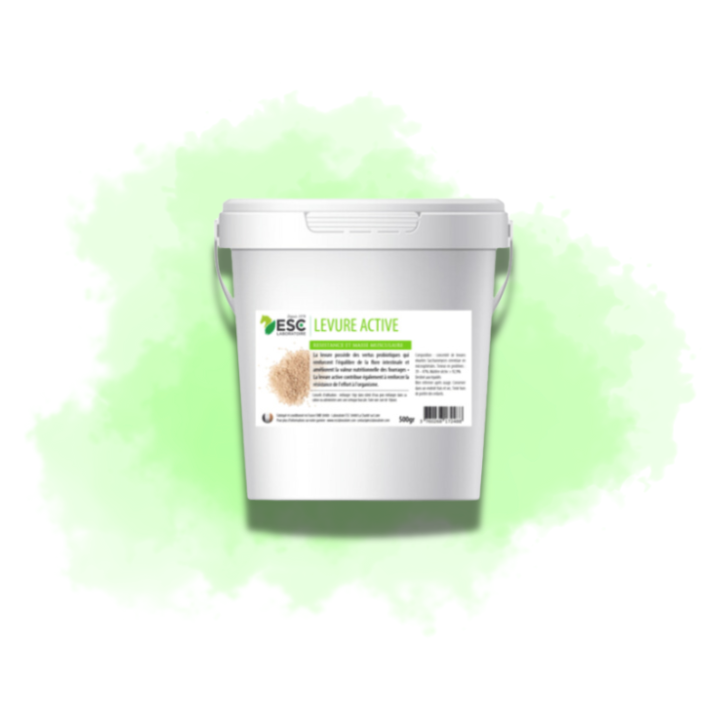 Levure Active + - Flore intestinale et digestion
