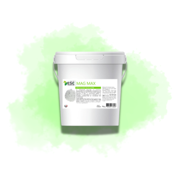 Mag Max - Magnésium marin, vit B6 et taurine - Défatiguant musculaire