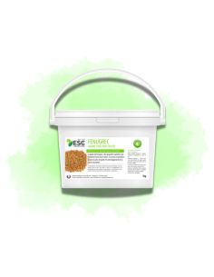 Fenugrec - État et muscles cheval