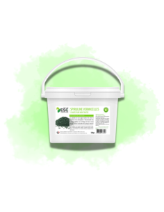 Spiruline Vermicelles - Résistance à l’effort et apport...