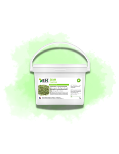 Thym - Hygiène et confort respiratoire