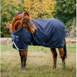 Amigo 1200D Turnout 250g - Horseware