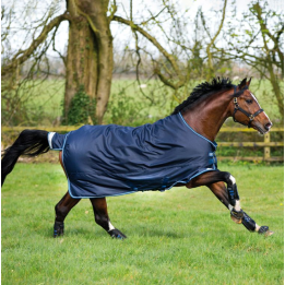 Amigo Bravo 12 Original 400g - Horseware