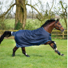 Amigo Bravo 12 Original 400g - Horseware