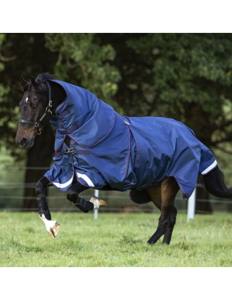 Rambo Optimo Plus Turnout Bundle (0g + 400g) - Horseware