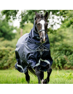 Rambo Optimo Plus Turnout Bundle (0g + 400g) - Horseware 2