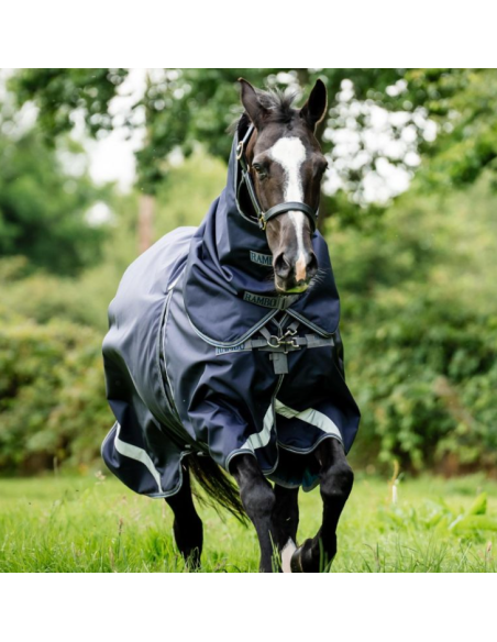 Rambo Optimo Plus Turnout Bundle (0g + 400g) - Horseware