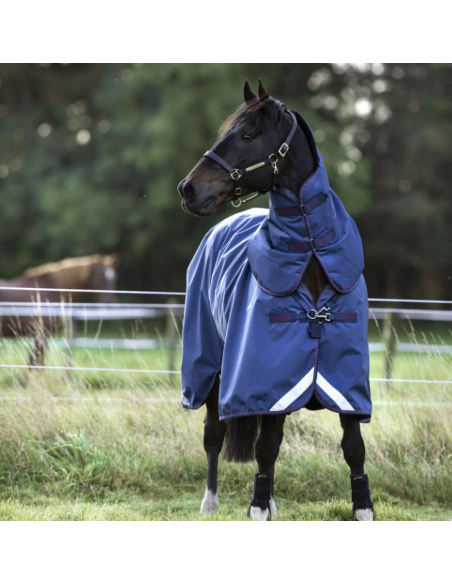 Rambo Optimo Plus Turnout Bundle (0g + 400g) - Horseware