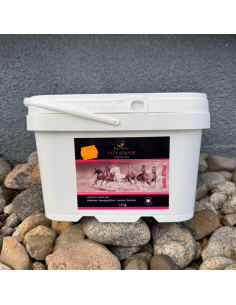Vita Senior Equi-Soins