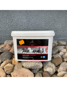 Biotine Max Equi-Soins