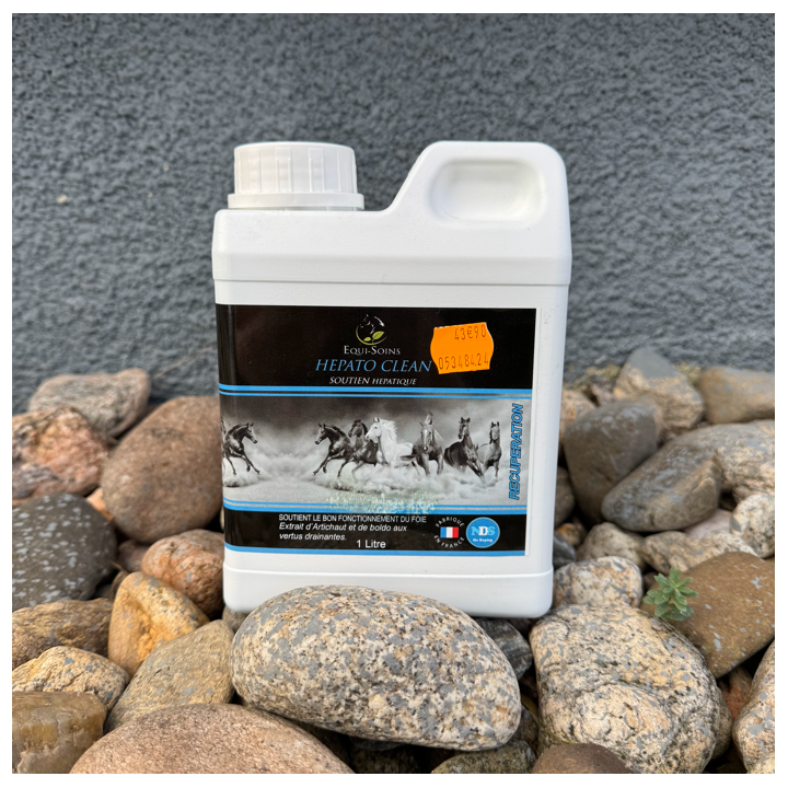 Hepato Clean Equi-Soins