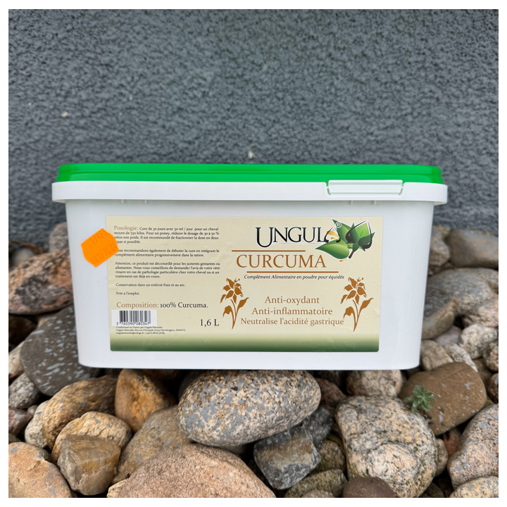 Curcuma - Ungula