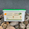 Curcuma - Ungula