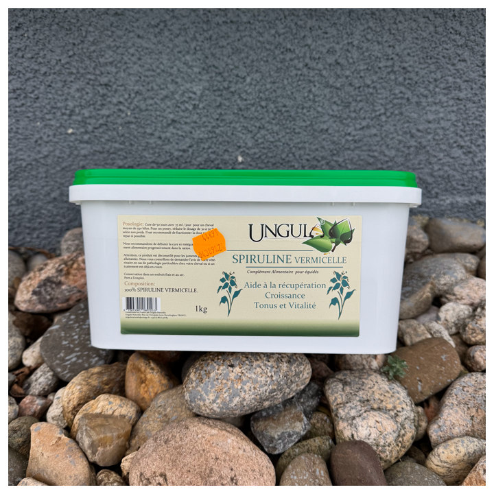 Spiruline Vermicelle - Ungula