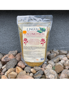 Locomotion - Ungula naturalis