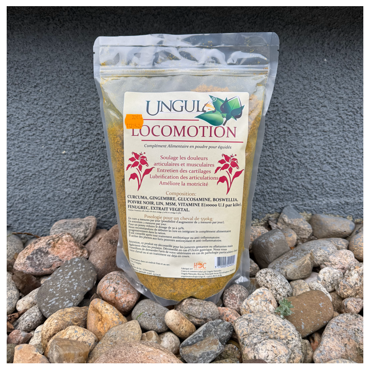 Locomotion - Ungula