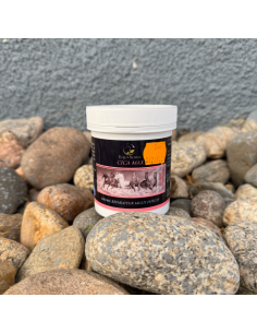 Cica Max Equi-Soins