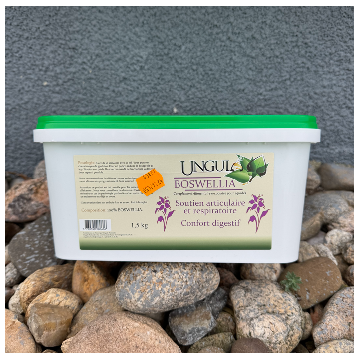 Boswellia - Ungula
