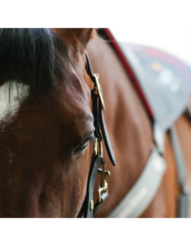 Tapis De Massage Chauffant Equilibrium